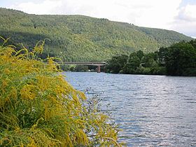 Neckar near Heidelberg.jpg