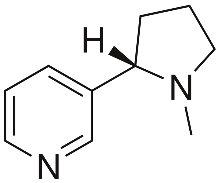 File:Nicotine1900.png