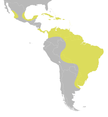 File:Nomonyx dominicus distribution.svg