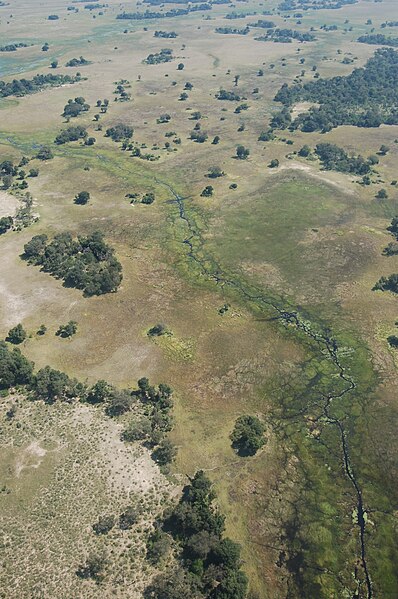 File:Okavango Delta, Botswana2.jpg