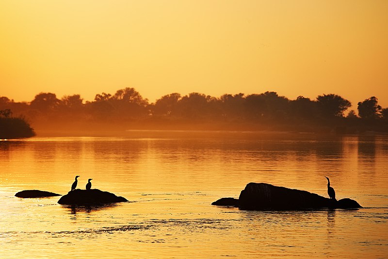 File:Okavango Sunrise (219323523).jpeg