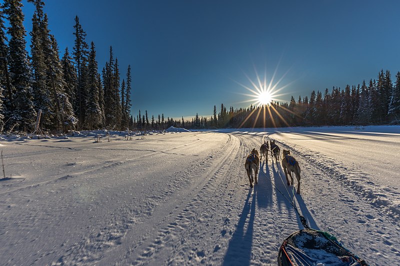 File:On the trail.jpg