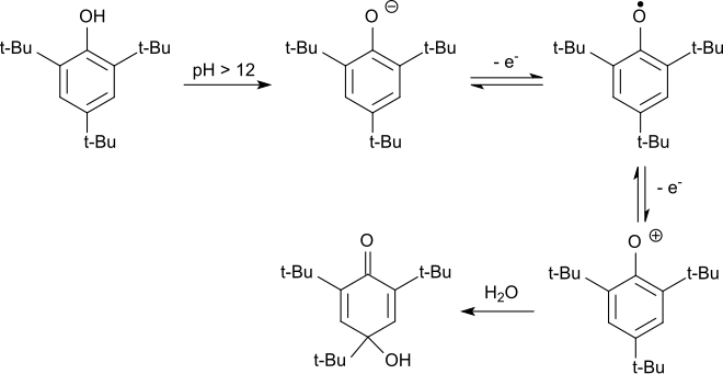 Electrochemical oxidation of 2,4,6-TTBP