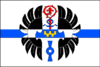 Bandeira de Předenice
