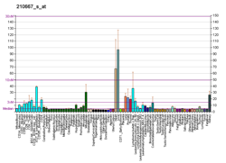 PBB GE C21orf33 210667 s bei fs.png