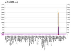 PBB GE MUC7 gnf1h06965 s при fs.png