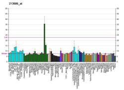 PBB GE VPS13A 213686, fs.png'de