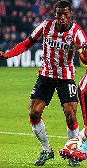 Georginio Wijnaldum - Wikipedia