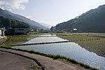 Risaia a Doshi, Yamanashi 01.jpg