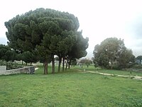 Parco Caduti di Marcinelle.