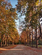 Parco della chiusa.jpg