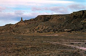 Patagonische Steppe