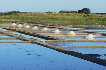 ペン・ブロン岬からランクリの間にある塩田