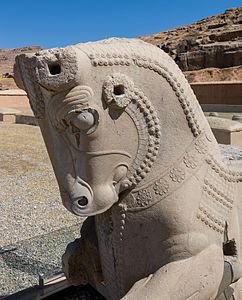 Capitel de columna amb pròtom de toro (Apadana)