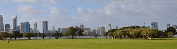 Sir James Mitchell Park from Mill Point Road Perth city skyline and melaleucas.jpg