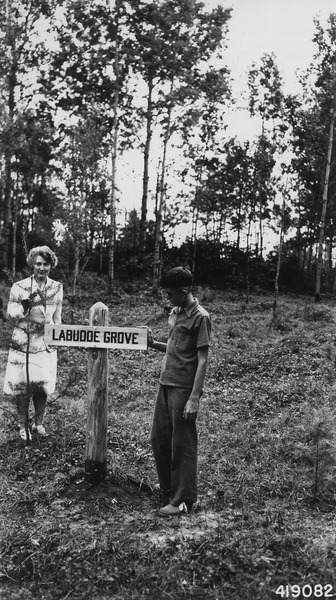 File:Photograph of Sign for Labudde Grove in Wisconsin School Children's Forest - NARA - 2129390.tif