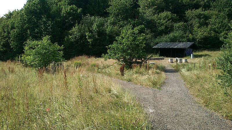 File:Picnic læ-skure Skjoldhøjkilen.jpg