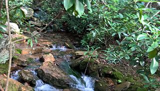 <span class="mw-page-title-main">Peters Mountain Wilderness</span>