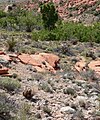 Calico Basin, NV, looking south