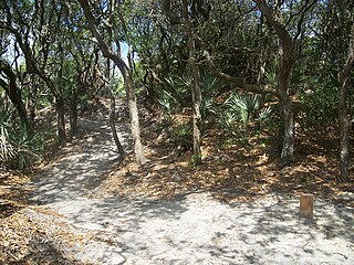 <span class="mw-page-title-main">Green Mound</span> Archaeological site in Florida, United States