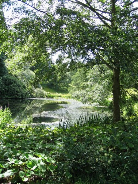 File:Pond in Powis Castle gardens - geograph.org.uk - 1121074.jpg