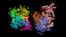 Pyruvate dehydrogenase phosphorylation sites.png