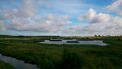 View from sight-tower on swamps