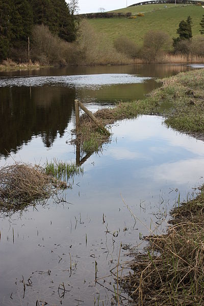 File:Quoile River, Downpatrick, April 2010 (04).JPG