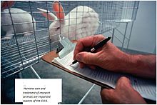 Animal Welfare Act of 1966 - Wikipedia
