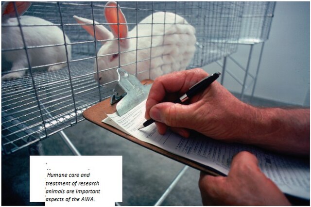 Humane care and treatment of research animals are important aspects of the AWA.