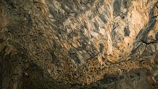 Höhle in einem UNESCO Global Geopark in Indonesien