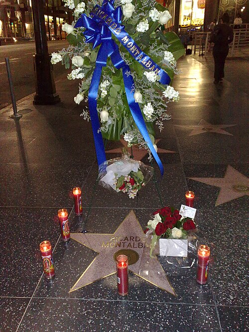 Ricardo Montalbán Hollywood Walk of Fame Star shortly after his death