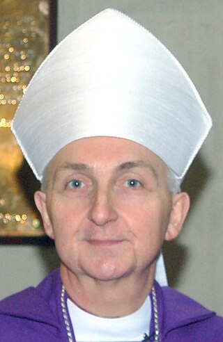 <span class="mw-page-title-main">Peter Burrows</span> British retired Anglican bishop