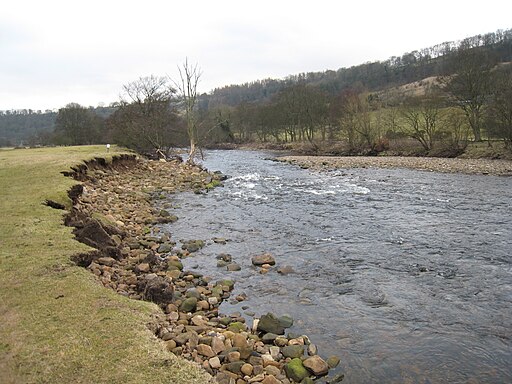 River Swale near Whitecliffe Wood - geograph.org.uk - 1711834