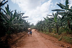 Straße nach Omachanda.jpg