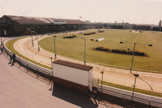 <span class="mw-page-title-main">Romford Greyhound Stadium</span> Greyhound racing track in east London