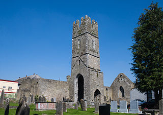 <span class="mw-page-title-main">Roscrea Friary</span> Ruined Franciscan friary in Tipperary, Ireland