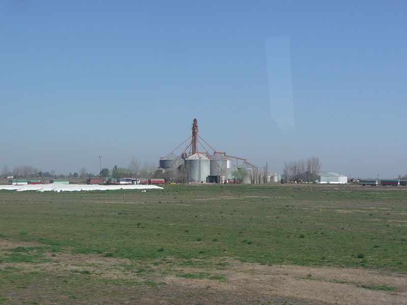 File:Ruta Fortín Olavarría - Trenque Lauquen 48 silos "Ñandubay".JPG