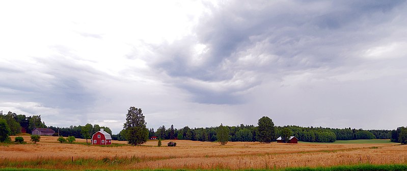 File:Söderskog Espoo 020820 b.jpg