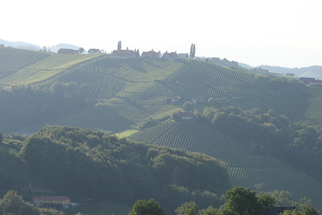 View over the vineyards of Western Styria