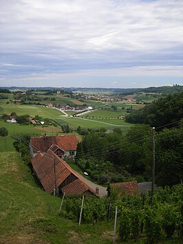 Spodnja Voličina