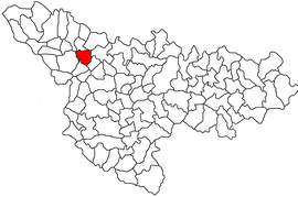 Location in Timiș County