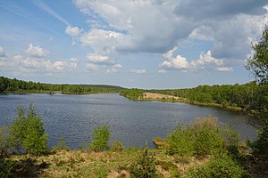 Schleswig-Holstein, Hasenmoor, FFH-Gebiet Hasenmoor NIK 0800.JPG