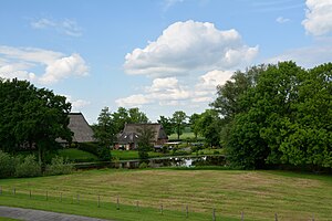 Schleswig-Holstein, Kollmar, Naturdenkmal NIK 6323.JPG