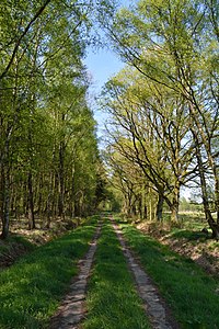 Schleswig-Holstein, Reher, Kratt NIK 0223.jpg