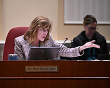 James in the Judicial Proceedings Committee, 2024 Senate JPR Testimony on Maryland Road Worker Protection Act (53546020298).jpg