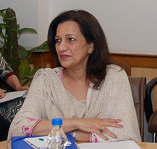 <span class="mw-page-title-main">Shahnaz Wazir Ali</span> Pakistani politician