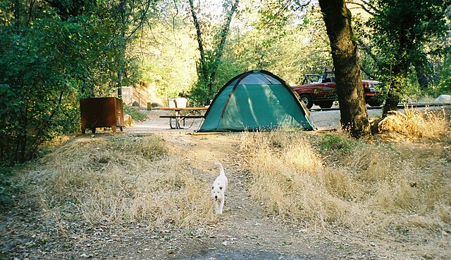 Bailey Cove Campground near Lake Shasta within the Shasta-Trinity National Forest.