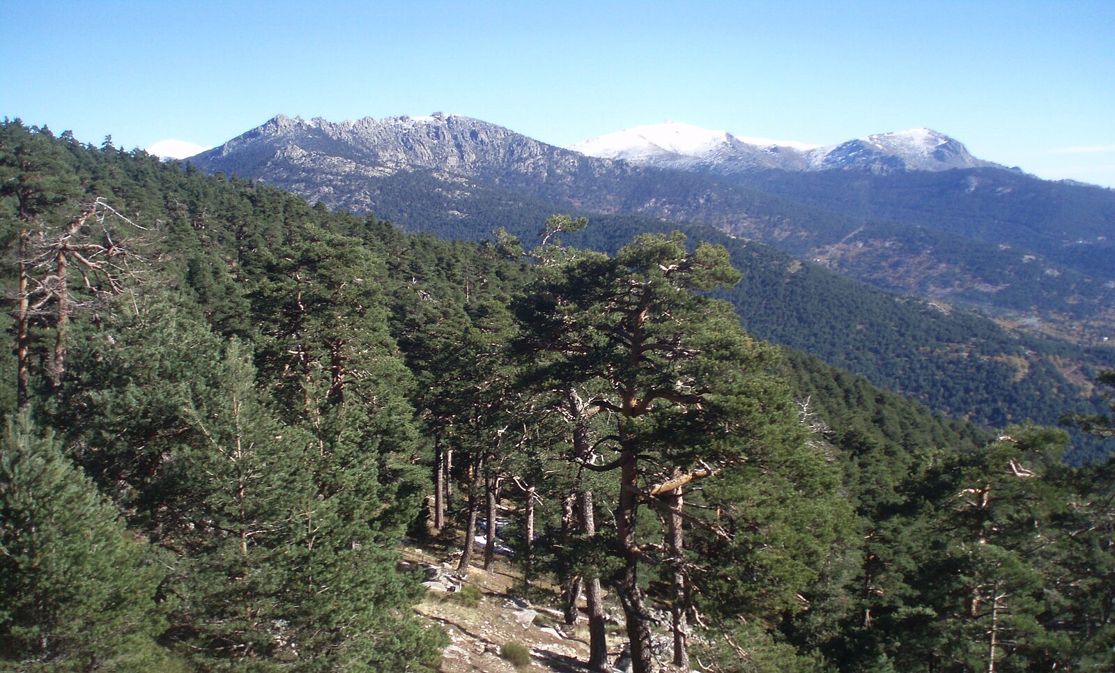 Sierra de arco para que sirve