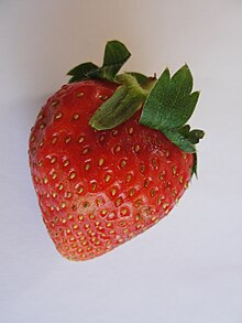 Single strawberry.jpg